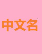 中國姓名|中國人姓名(中國人名):標準,取名時間,名字長度,名字意義,名字與輩。